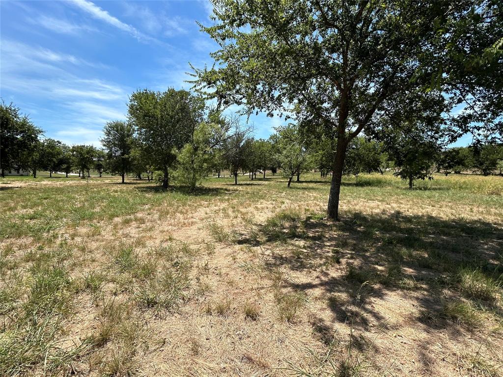 Bear Creek Ranch - Land