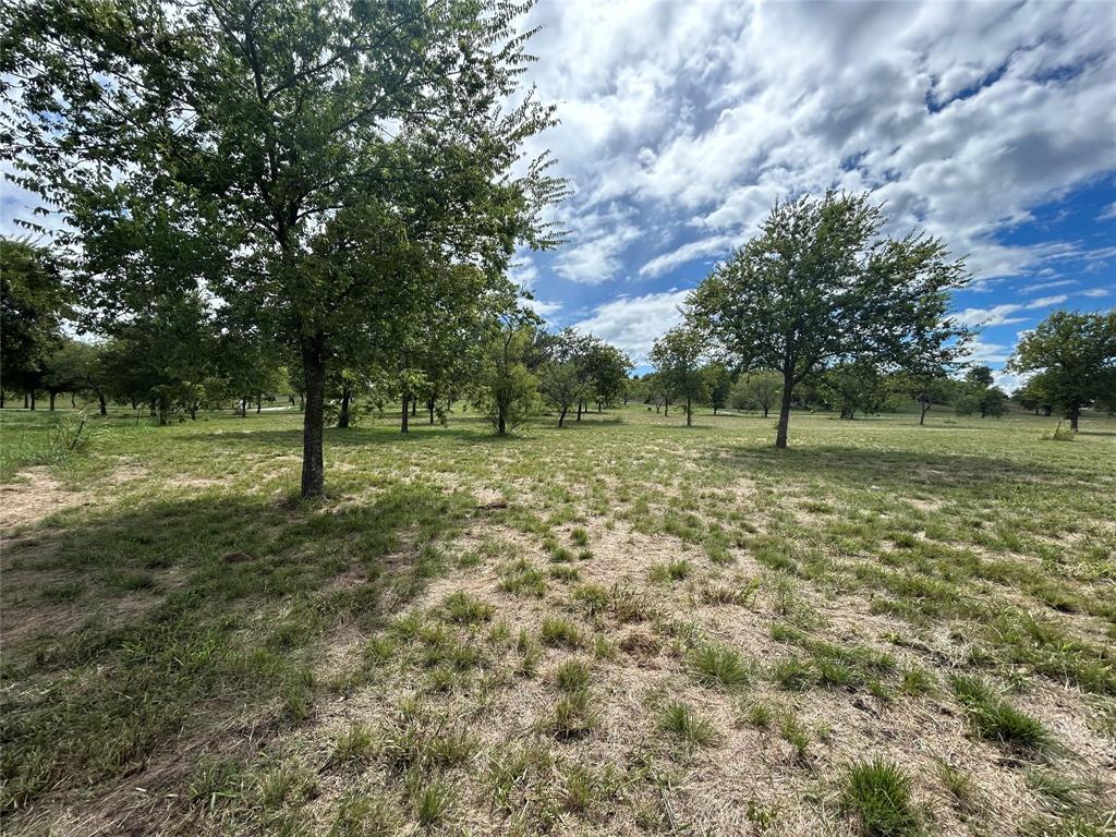 Bear Creek Ranch - Land