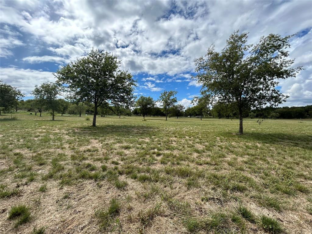 Bear Creek Ranch - Land