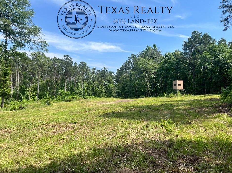 521 County Road 1759