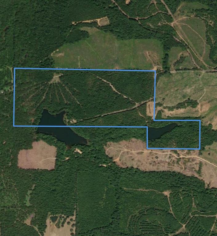 521 County Road 1759