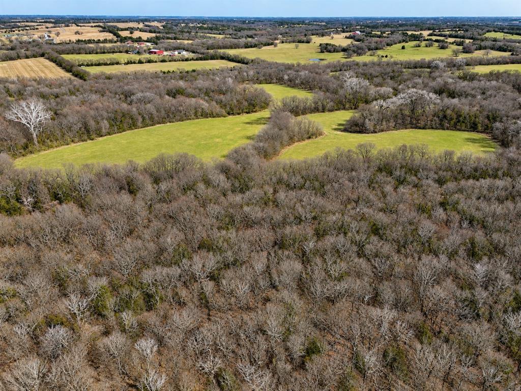 TBD Independence Springs