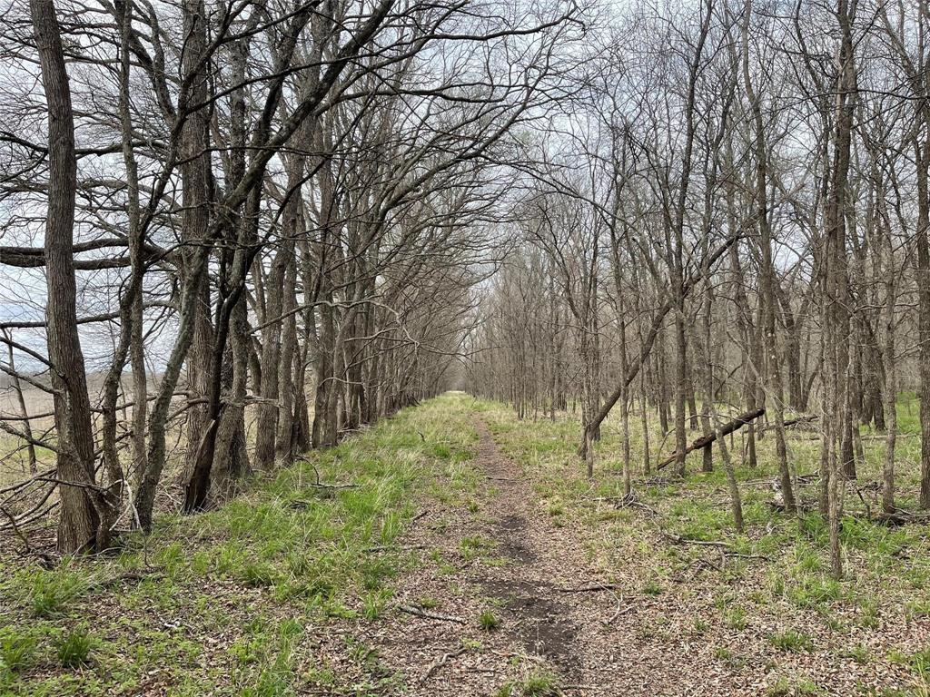 G-0063 Blag James A-G0063 - Land