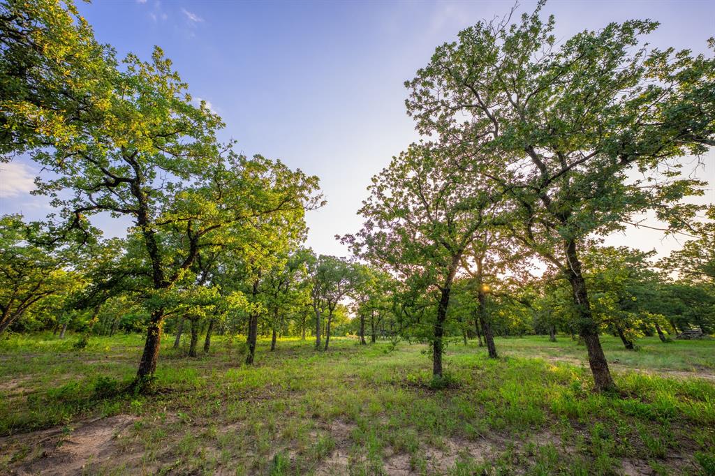 8606 Star Hollow Road