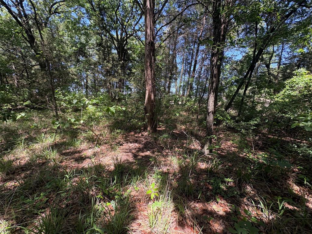 25 acres County Road 2348