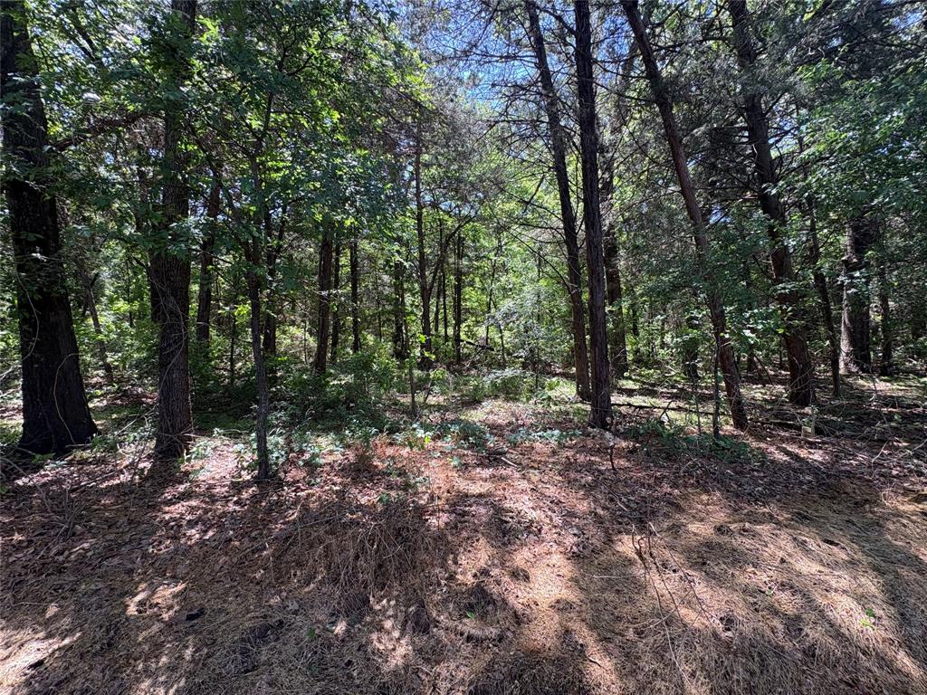 25 acres County Road 2348