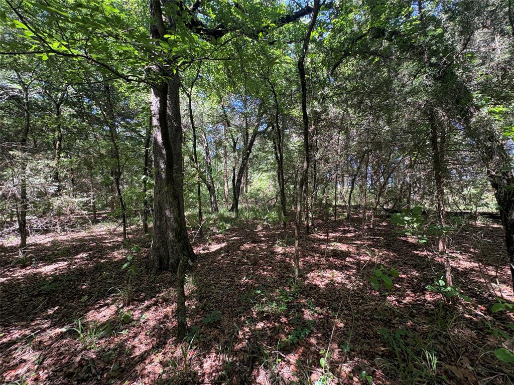 25 acres County Road 2348