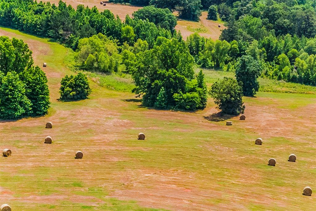 Cross Pines Ranch - Farm