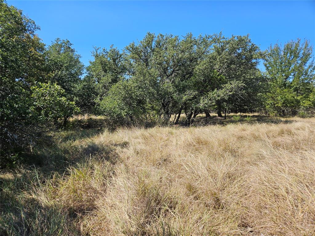 475 Overlook Ridge