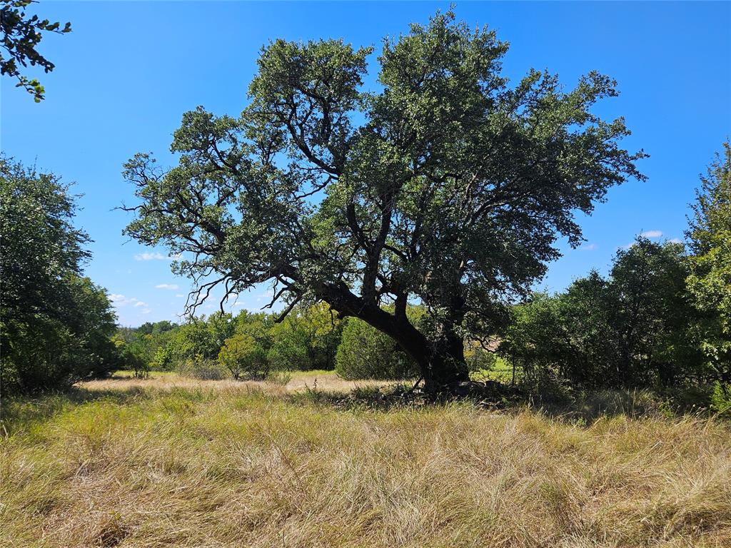 475 Overlook Ridge
