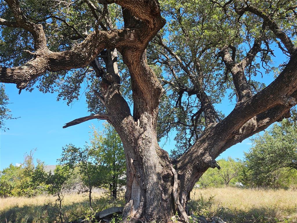 Mountain Lakes - Land