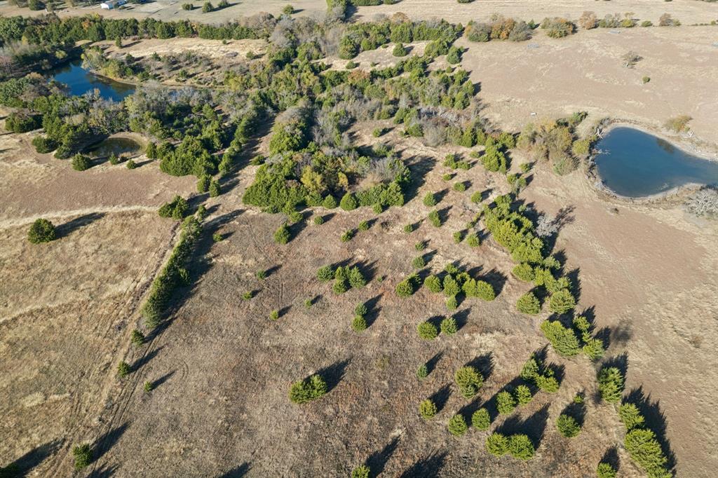 Greer Johnson Surv Abs #478 - Land