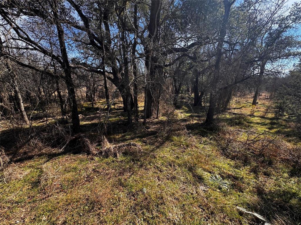 Shady River Unrec - Land