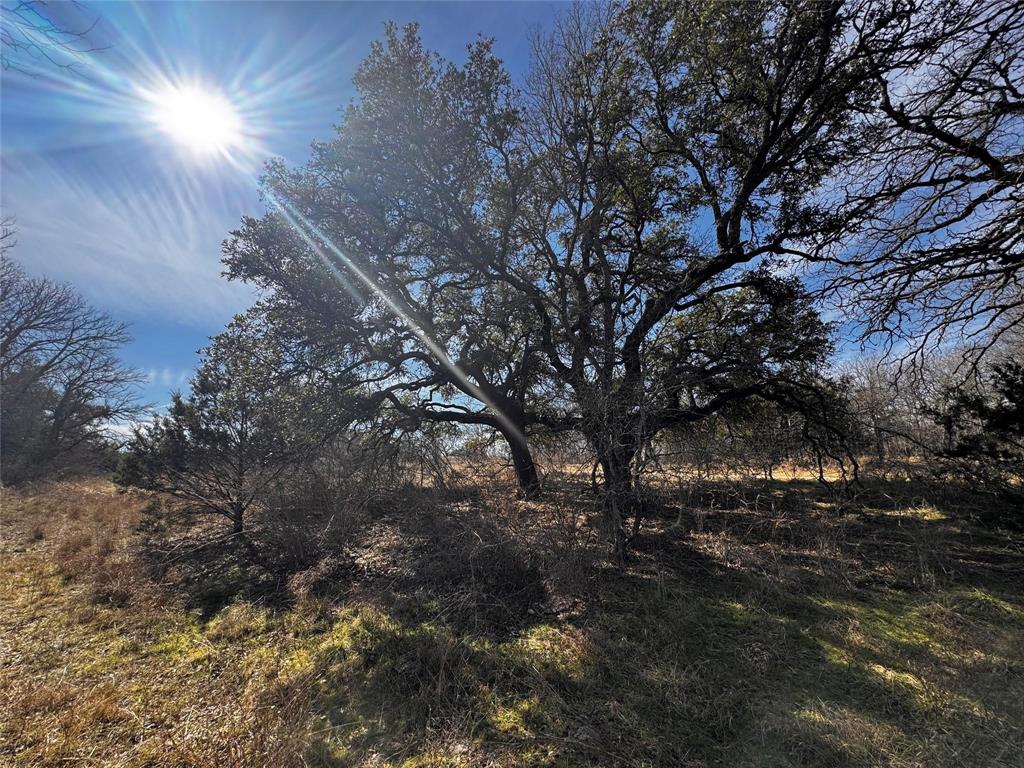 Shady River Unrec - Land
