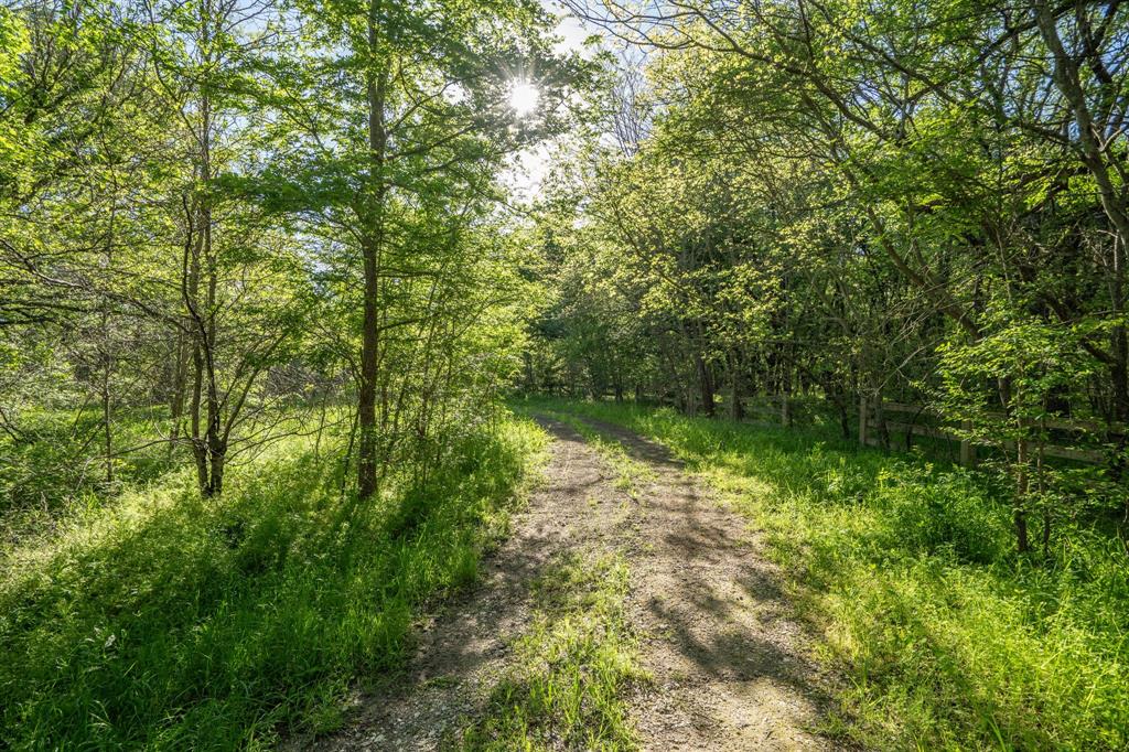 Dark Hollow - Residential