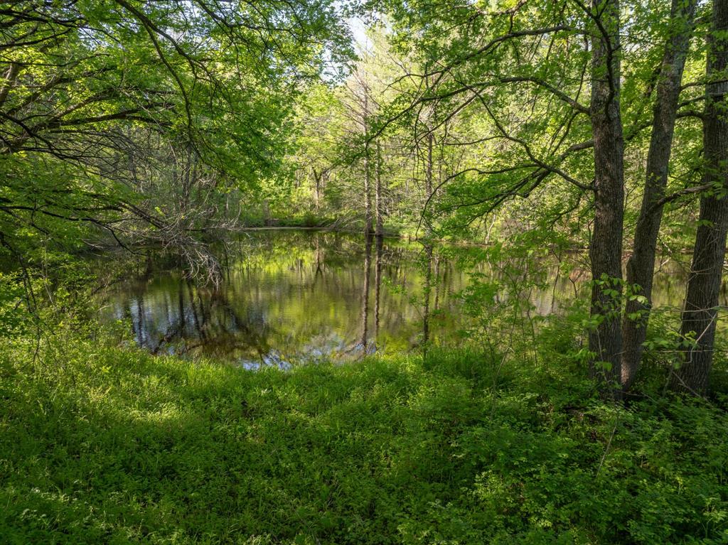 Dark Hollow - Residential