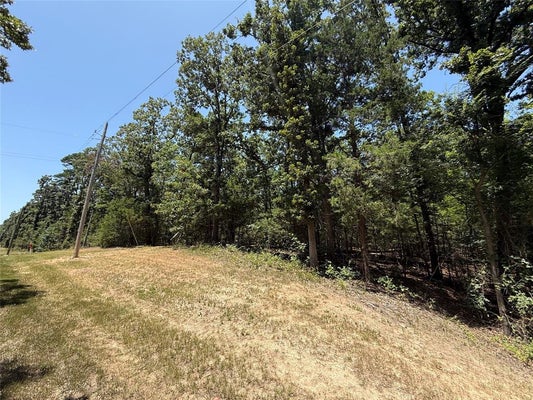 WHISPERING PINE TRL, MOUNT VERNON, TX 75457 - Image bce7491a0285173881f4df8b3fbf44cc/80972686