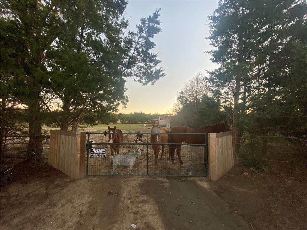 660 County Road 2184