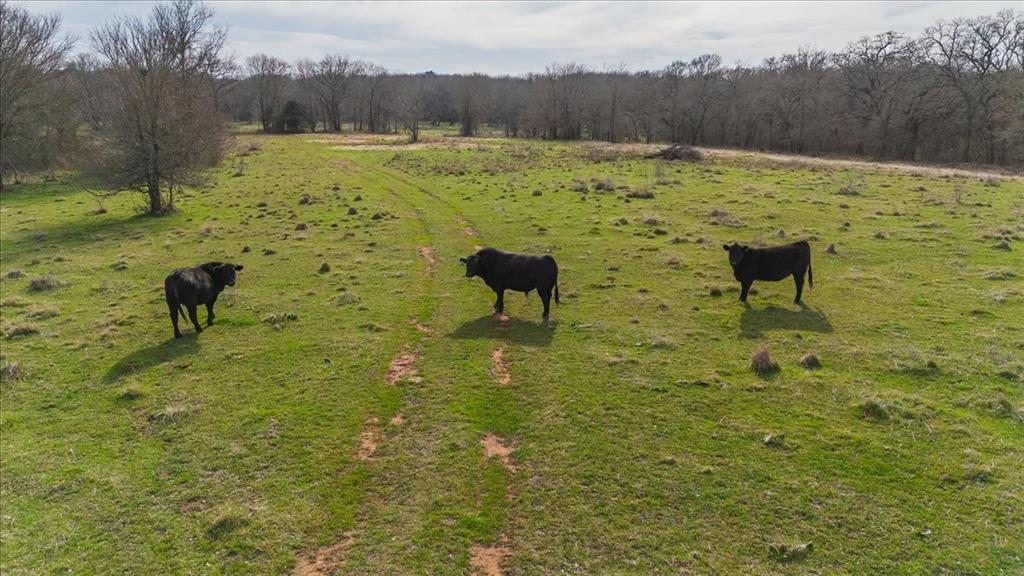 William Ward Surv A-977 - Land