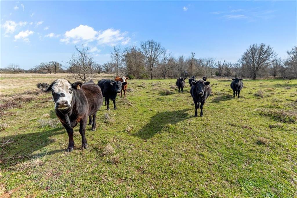 William Ward Surv A-977 - Land