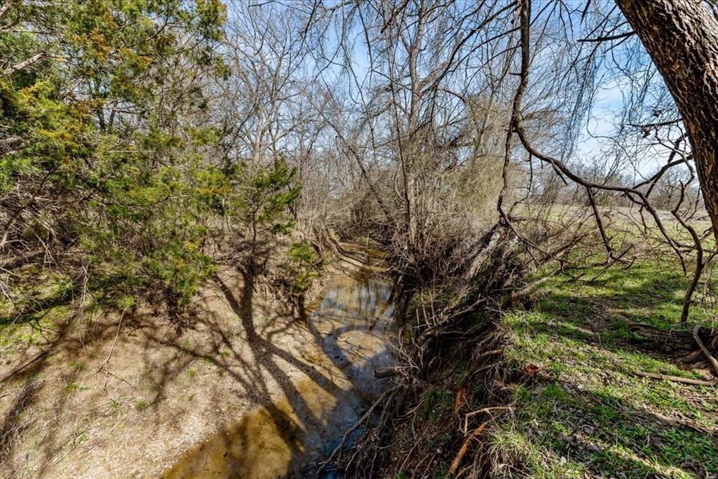 William Ward Surv A-977 - Land