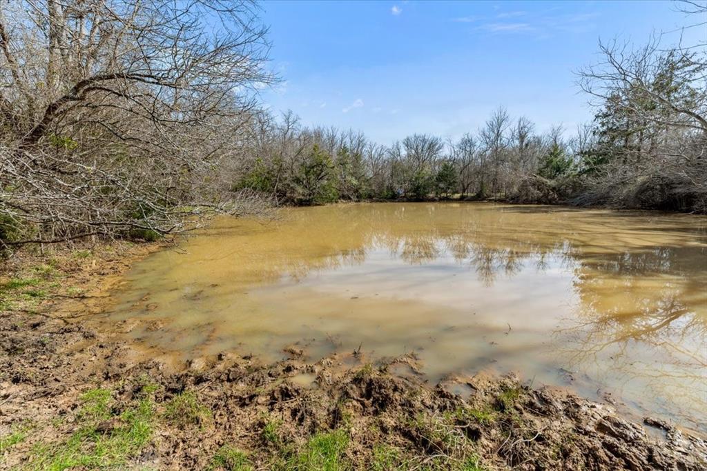 William Ward Surv A-977 - Land