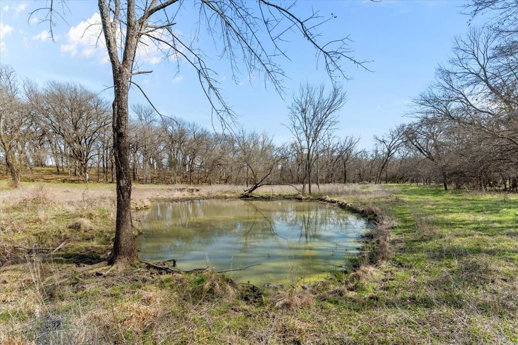 William Ward Surv A-977 - Land