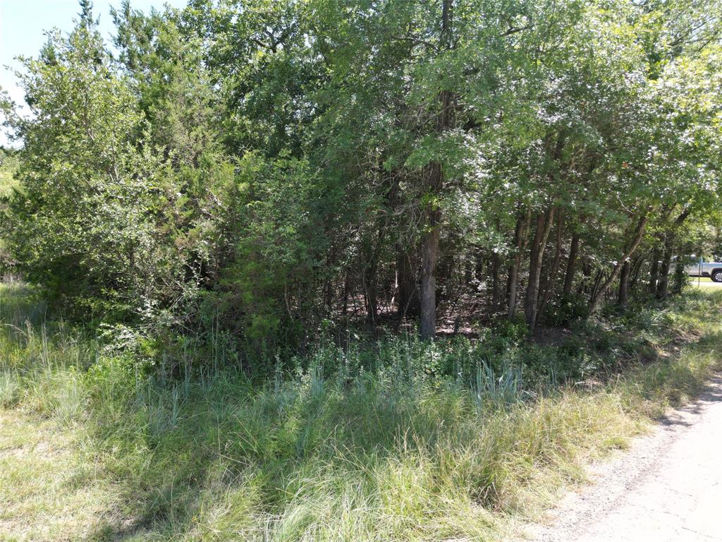 Lake Granbury Hbr Sec B - Land