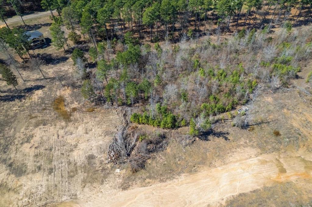 Piney Woods Estates - Land