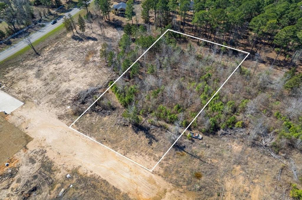 Piney Woods Estates - Land