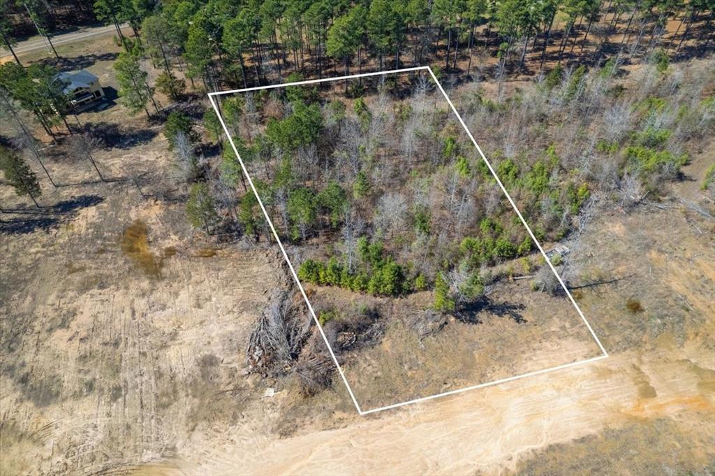 Piney Woods Estates - Land