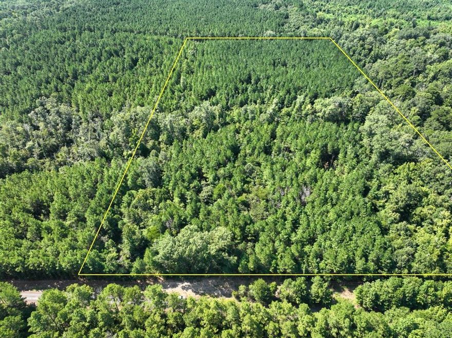 First time open market offering of 20 ± acres along Sam Booker Road in De Soto Parish. This tract combines accessibility, natural beauty, and investment potential, with the added feature of a wet-weather creek running through the property.
 - 20 acres with parish-maintained road frontage on Sam Booker Rd
 - Wet-weather creek provides character, wildlife habitat, and recreational appeal
 - Timbered property with a mix of pine and hardwood for both investment and natural beauty
 - Electric service available through CLECO Power
 - First time open market offering after long-term ownership
 - Excellent opportunity for residential homesites, hunting, or recreational retreat
This tract offers the peace and privacy of the country with the flexibility to develop, invest, or simply enjoy as a personal retreat.