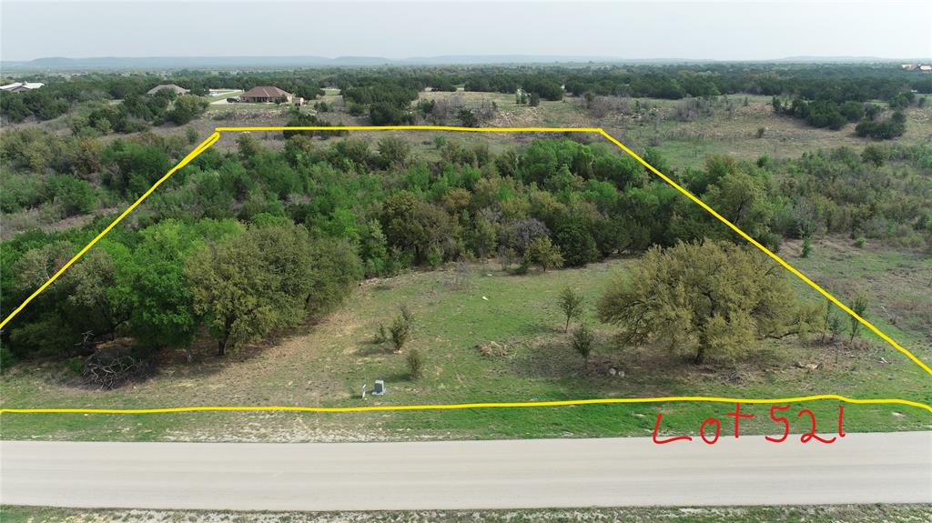 Lot 521 Canyon Wren