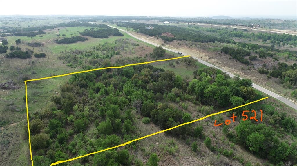 Lot 521 Canyon Wren