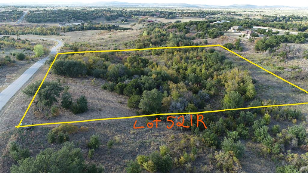 Lot 521 Canyon Wren