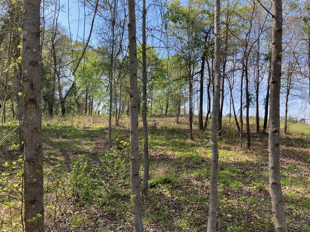 Star Mountain Ranch - Land