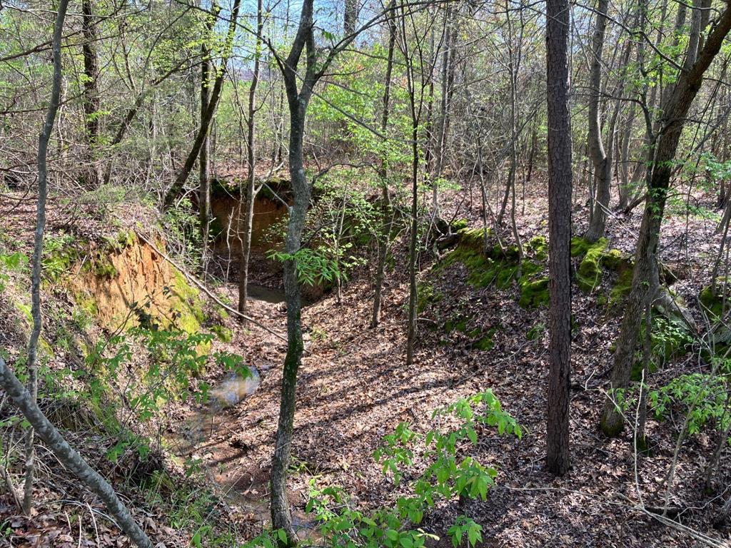 Star Mountain Ranch - Land