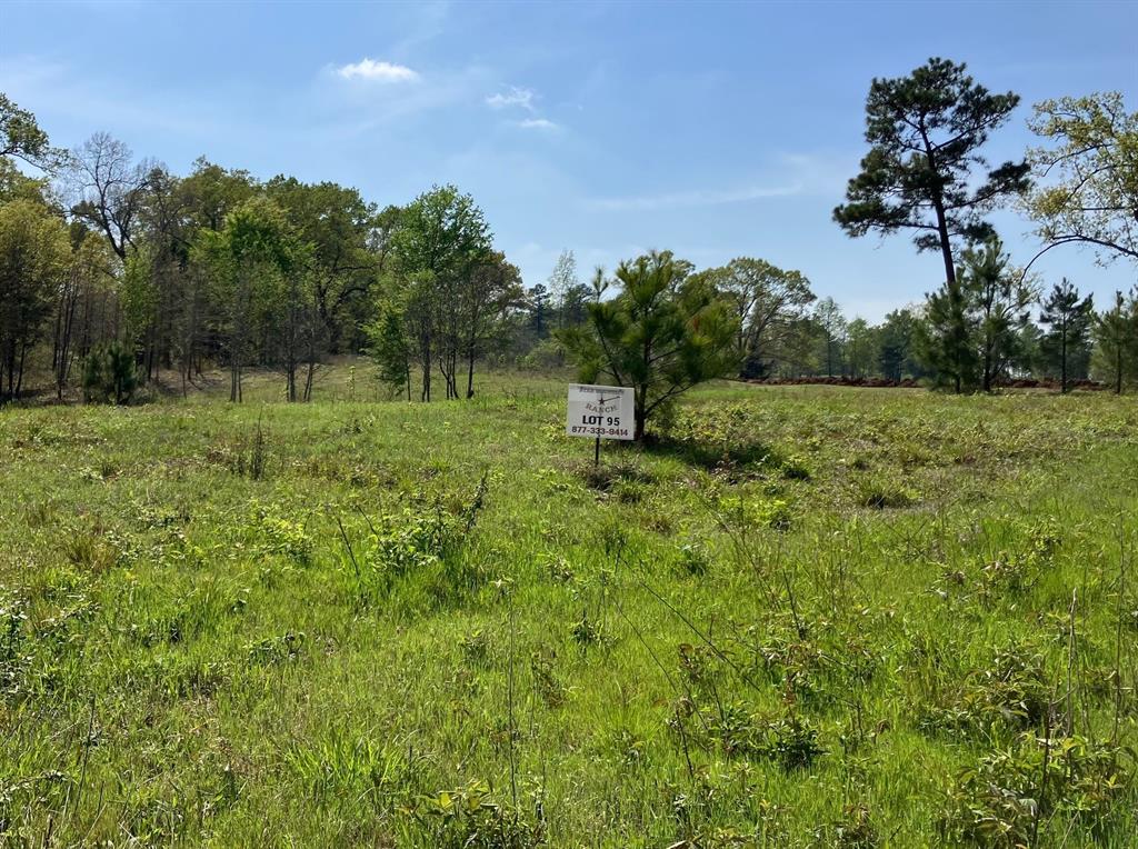 Star Mountain Ranch - Land