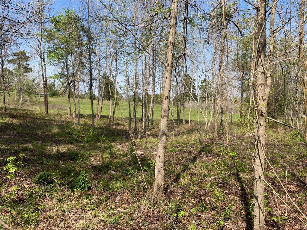 Star Mountain Ranch - Land