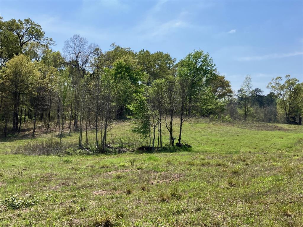 Star Mountain Ranch - Land