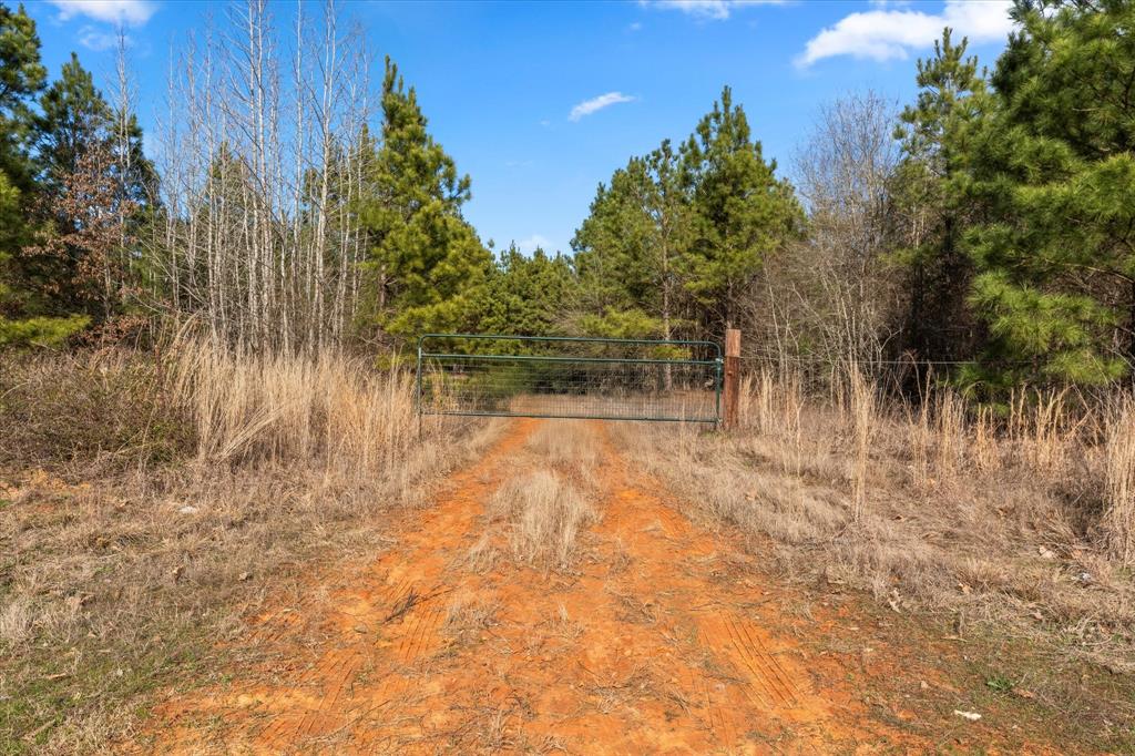 8765 Farm to Market Road 1650