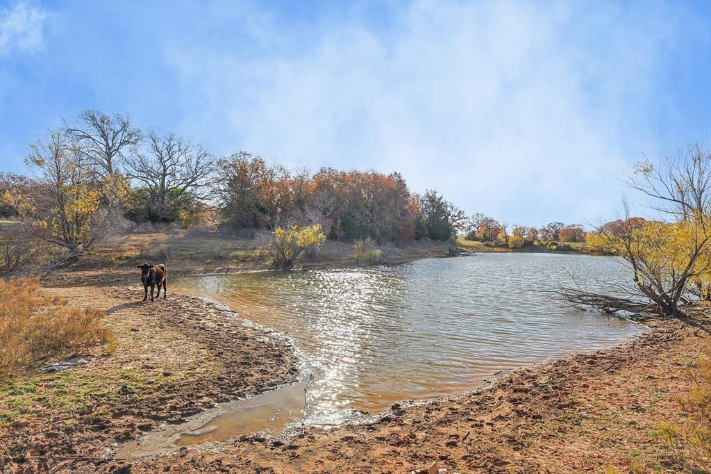 1344 SUSAN E FLANIGAN SURVEY - Farm