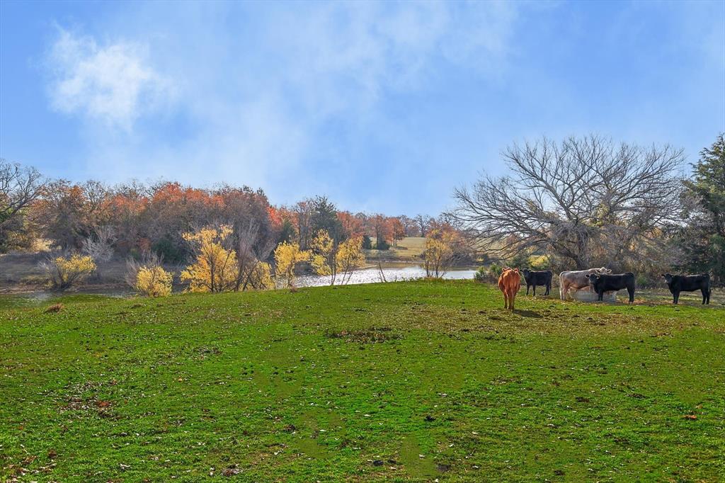 1344 SUSAN E FLANIGAN SURVEY - Farm