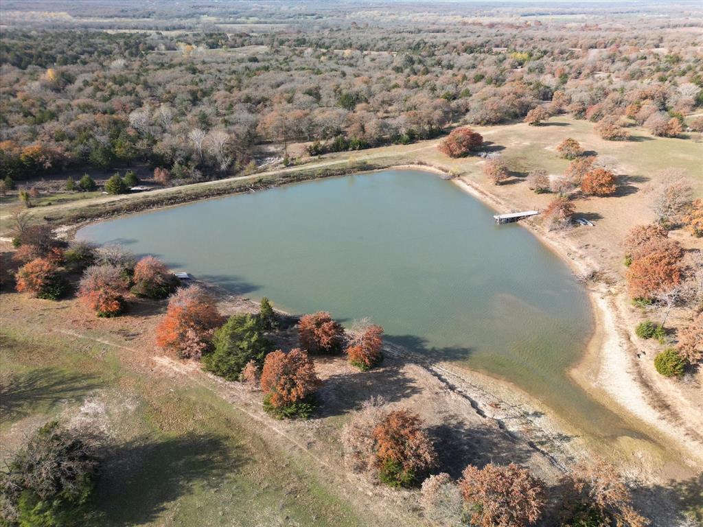 1344 SUSAN E FLANIGAN SURVEY - Farm