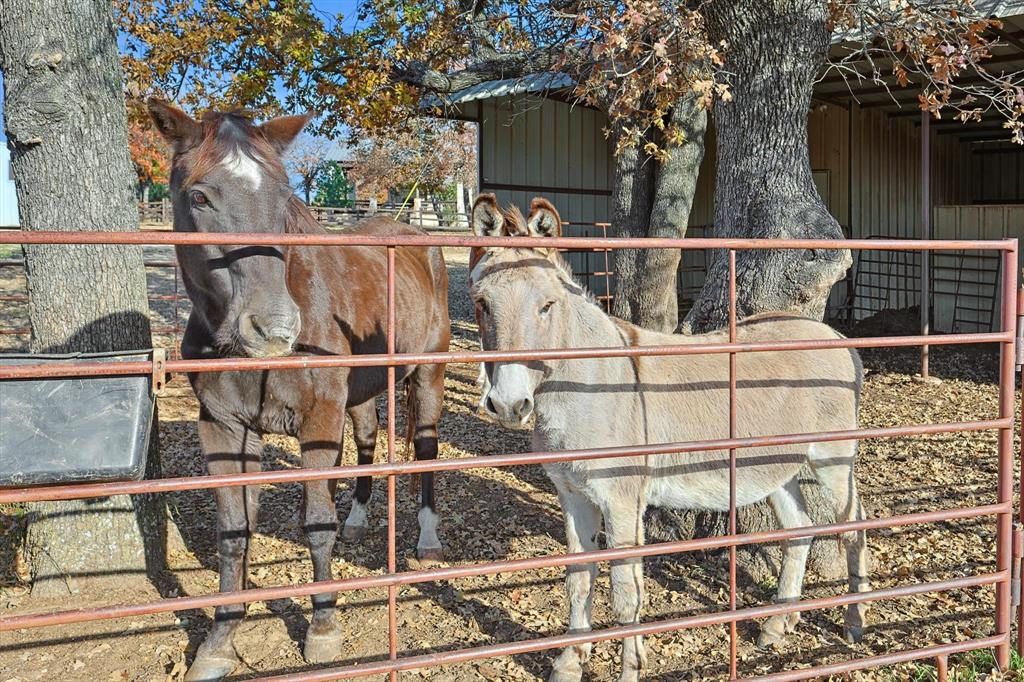 1344 SUSAN E FLANIGAN SURVEY - Farm