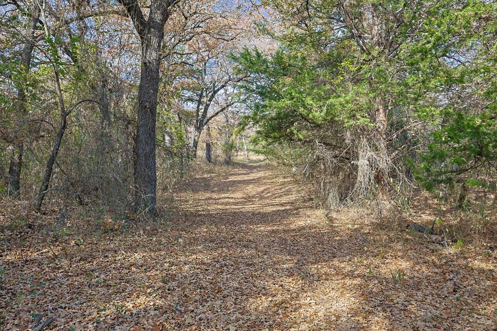 1344 SUSAN E FLANIGAN SURVEY - Farm