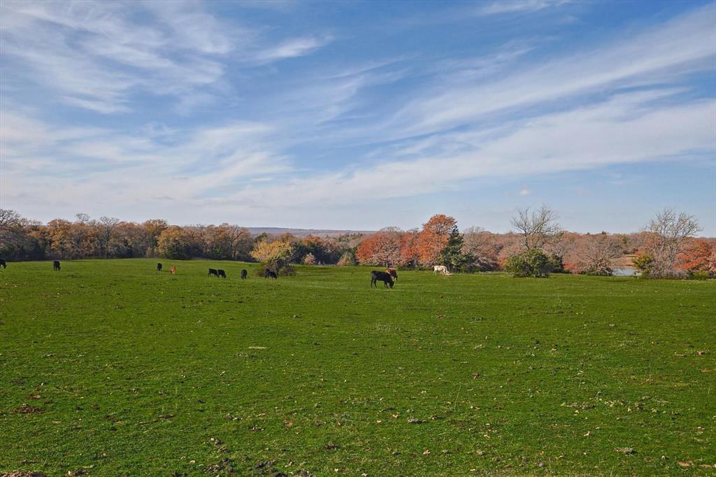 1344 SUSAN E FLANIGAN SURVEY - Farm