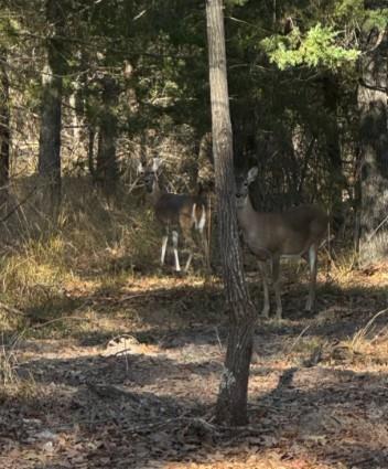 Kings Country - Residential