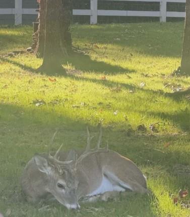 Kings Country - Residential