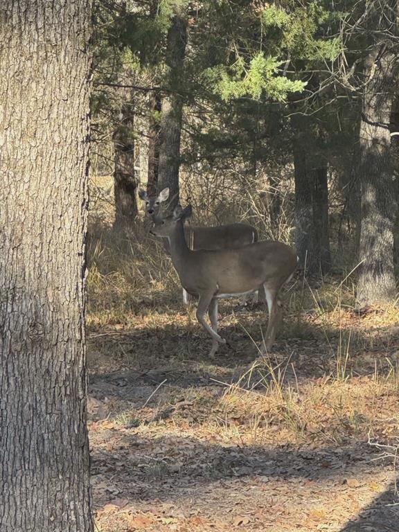 Kings Country - Residential